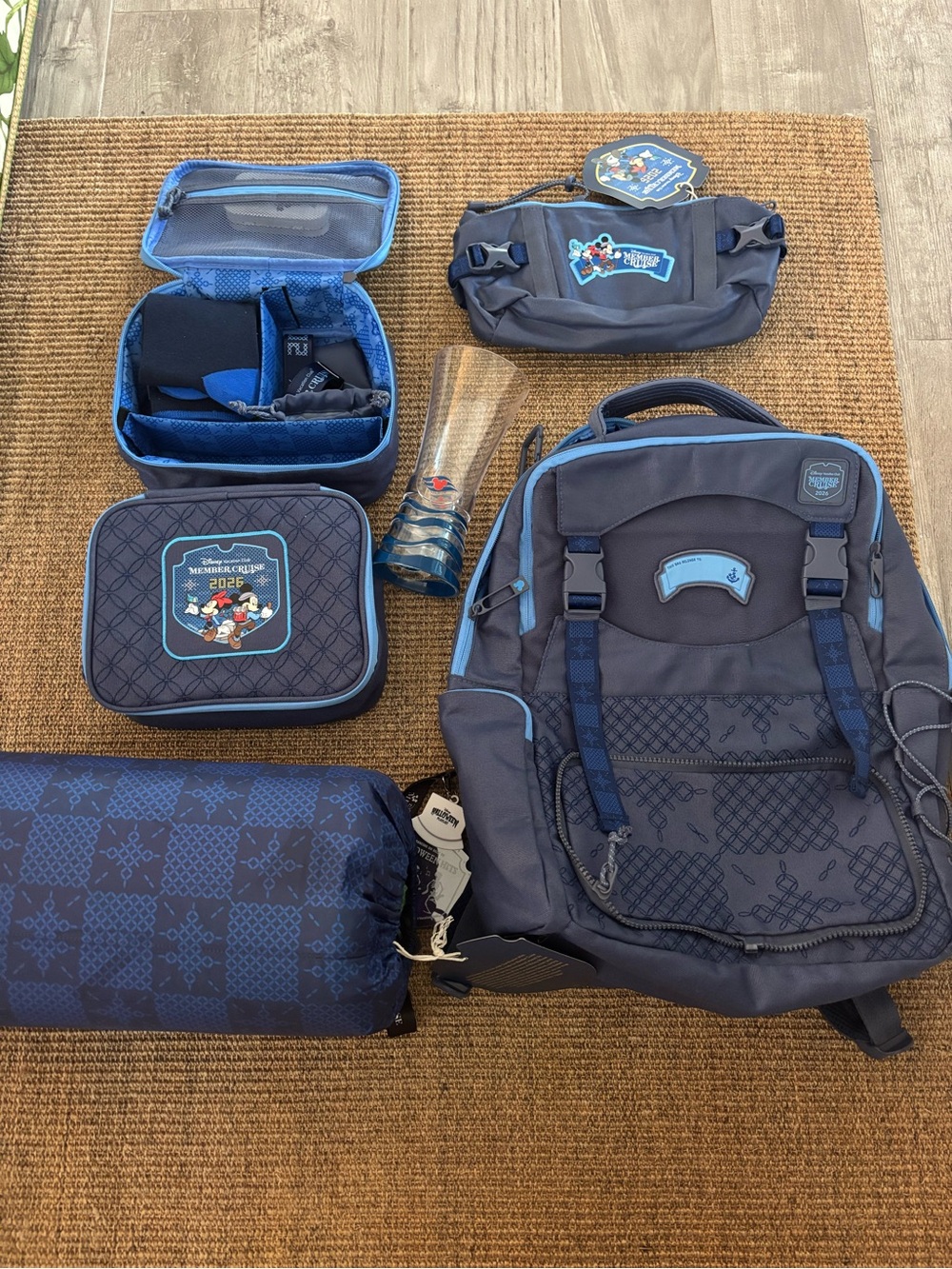Disney Vacation club member cruise 2026 gift set